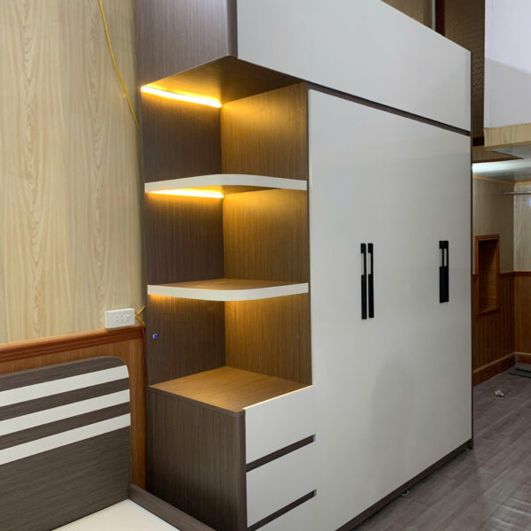 Tủ ecolast cao cấp cánh trắng(LUX 25 AT)
